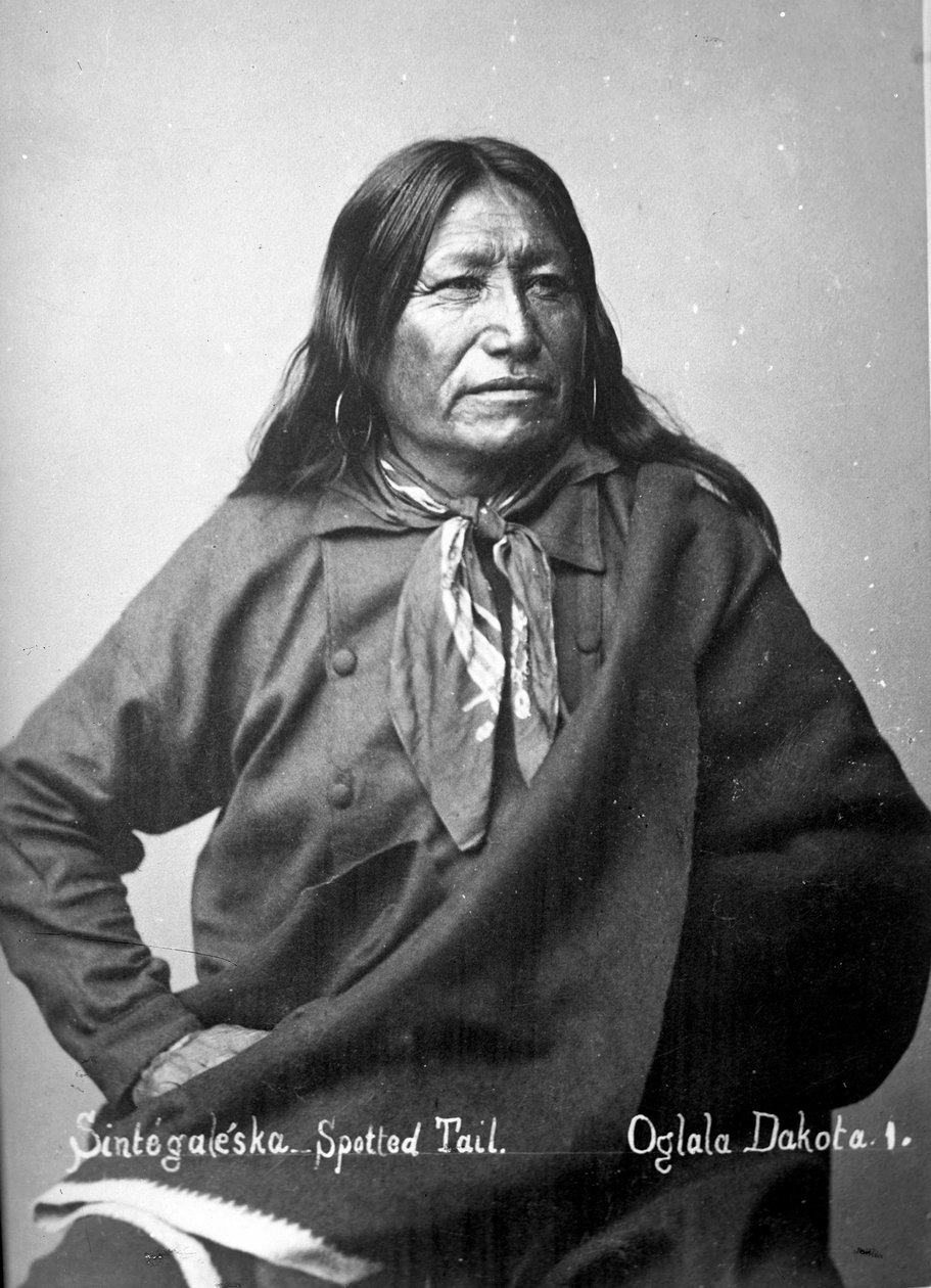 Sintegaleska, Cola Manchada, Oglala Dakota I, 1880s de David Frances Barry