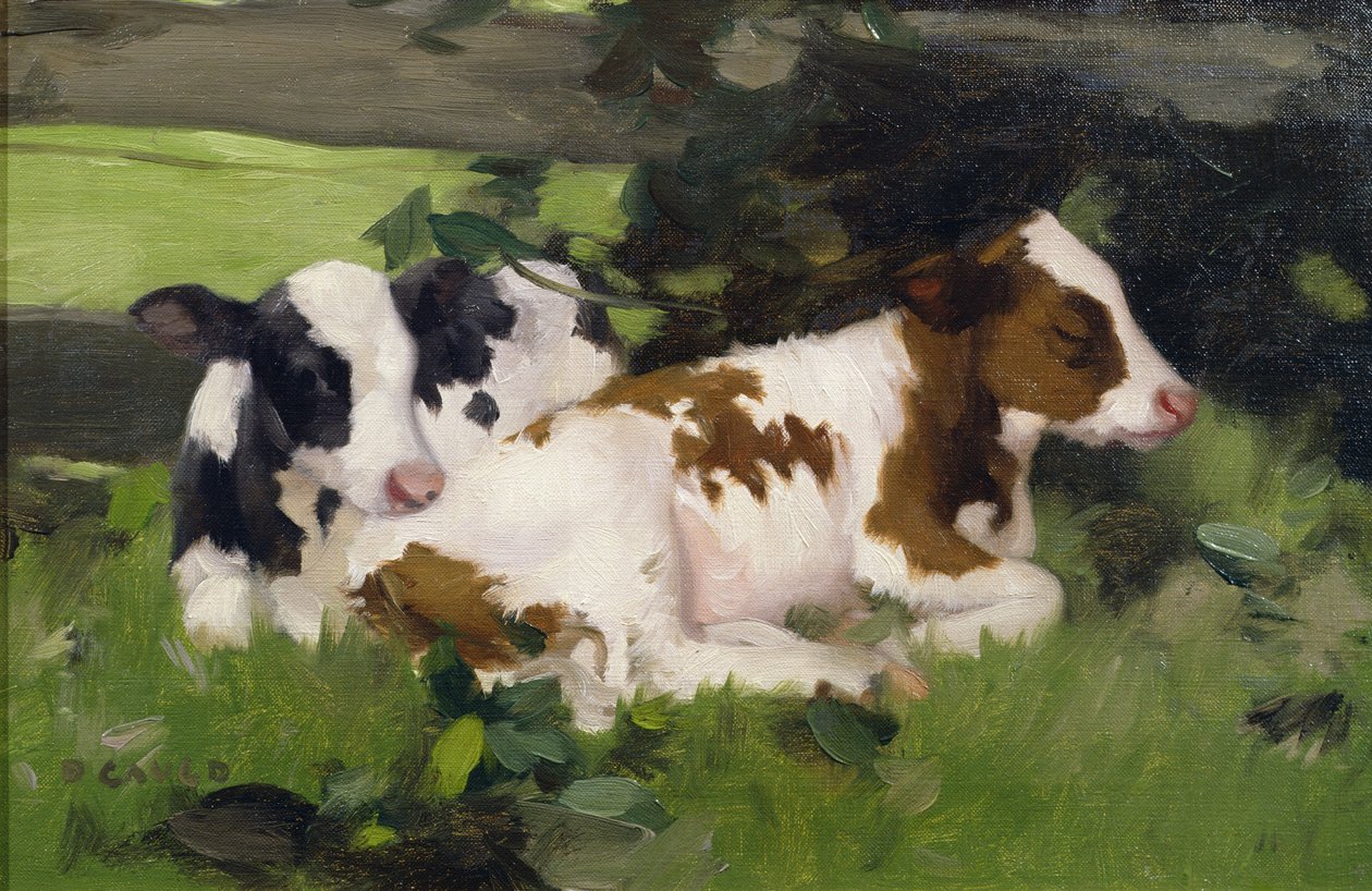 Terneros de Ayrshire, c.1890 de David Gauld