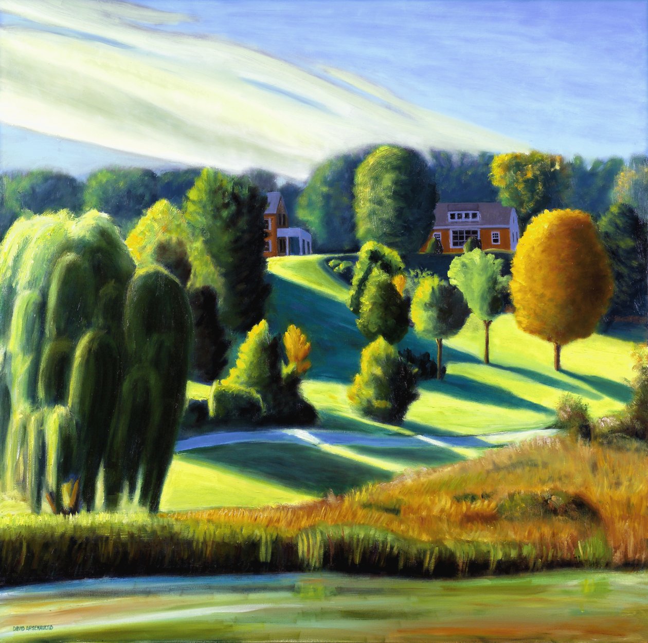Cima de la Colina, 2006 de David Arsenault