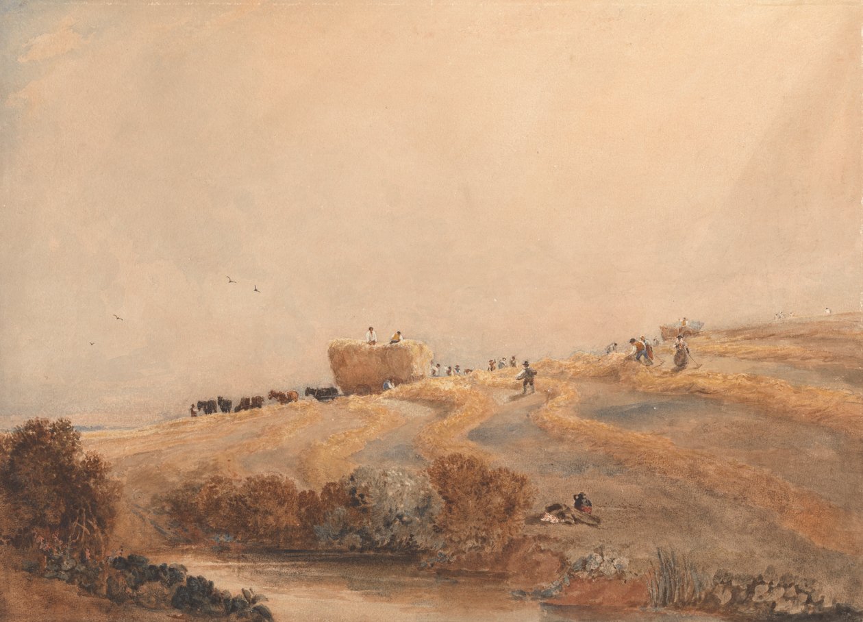 Recolección de heno de David Cox