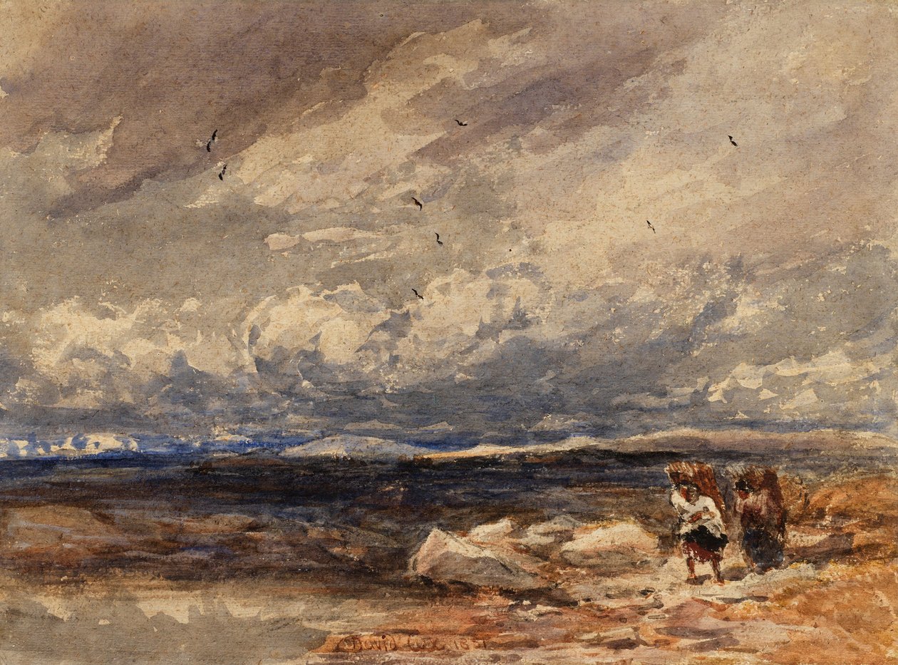 En Carrington Moss de David Cox