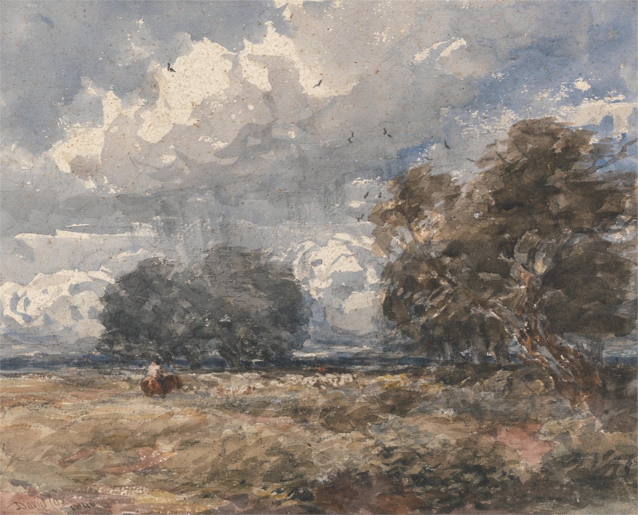 Pastorear el rebaño, día de viento de David Cox