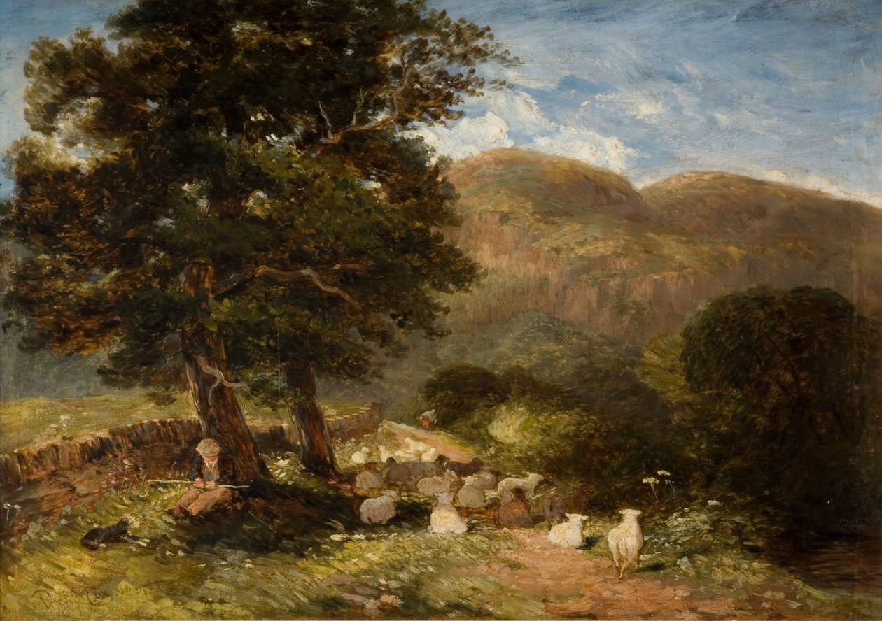 Cuidando ovejas, Bettws-y-Coed, 1849 de David Cox the elder