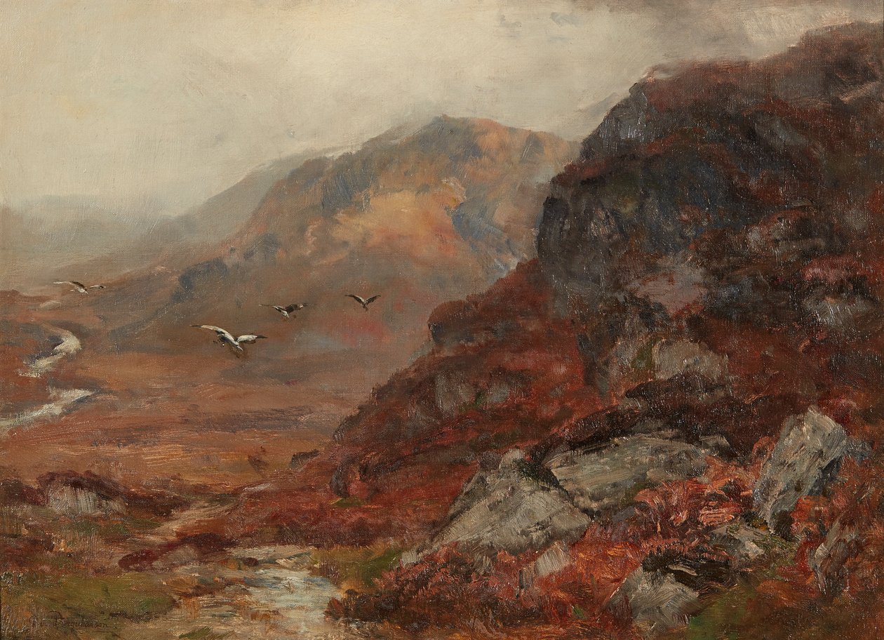 Colinas de las Tierras Altas de David Farquharson