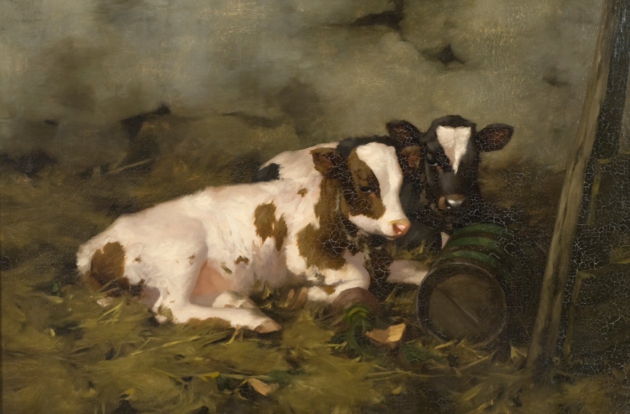 Terneros, c.1900 de David Gauld