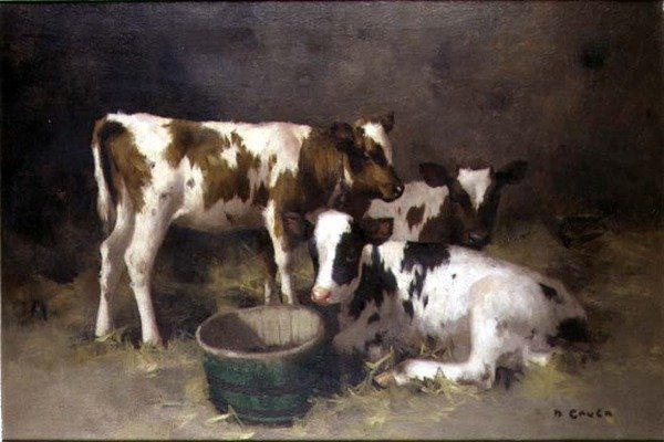 Tres terneros de David Gauld