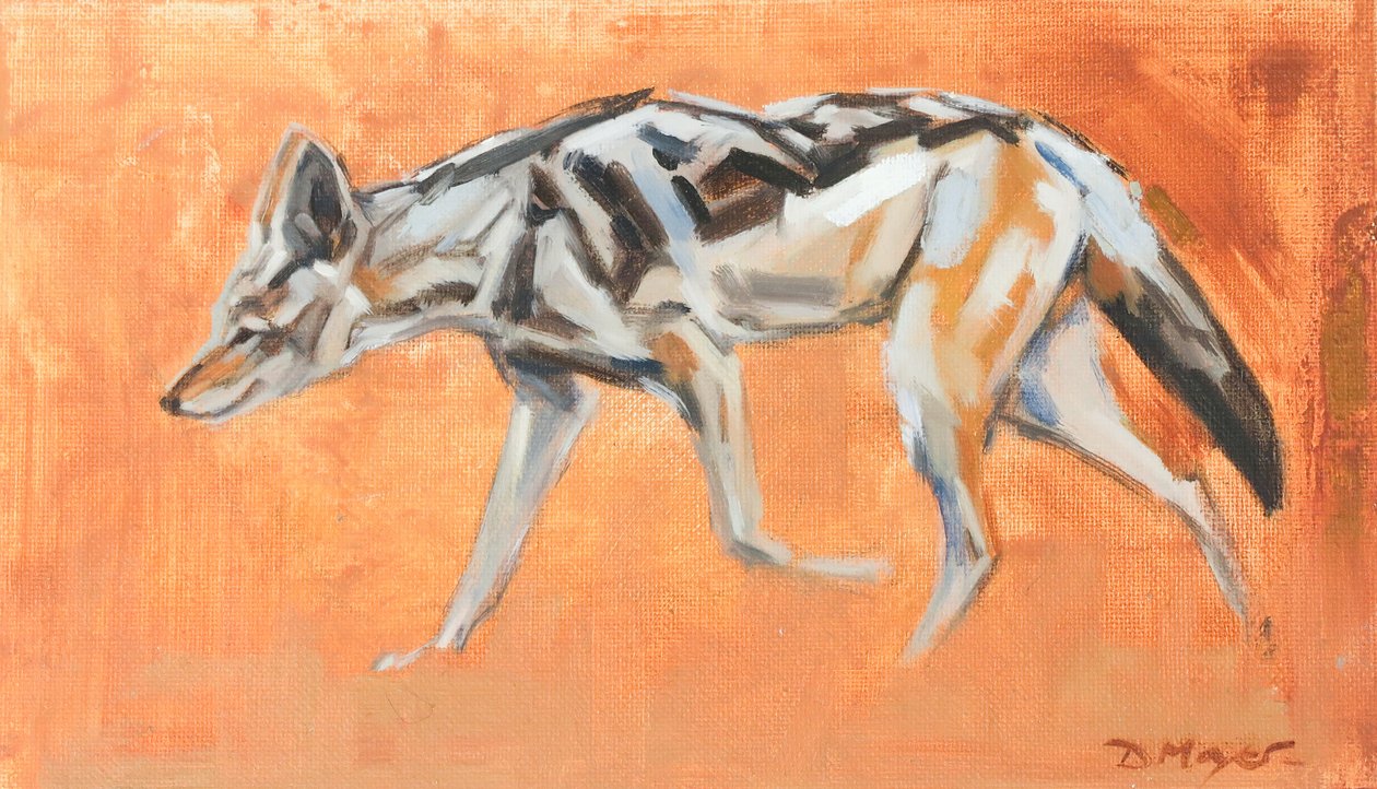 Chacal de lomo negro, 2021 (óleo sobre lienzo) de David Mayer