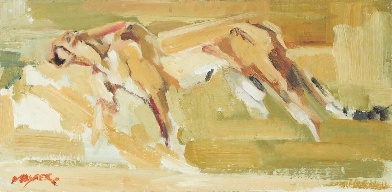 Chita, 2015 (óleo sobre lienzo) de David Mayer