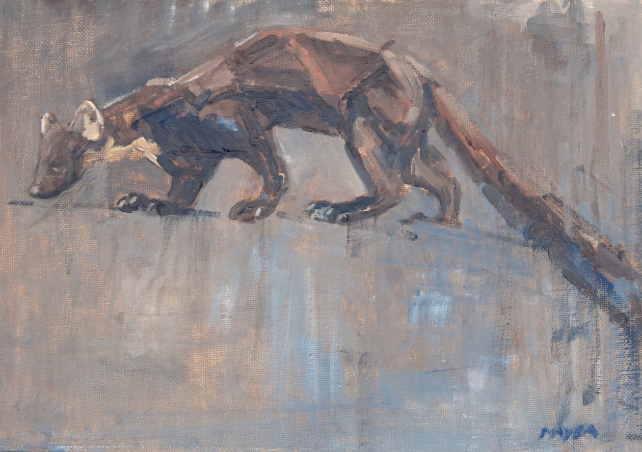 Pine Marten, 2023 (óleo sobre lienzo) de David Mayer