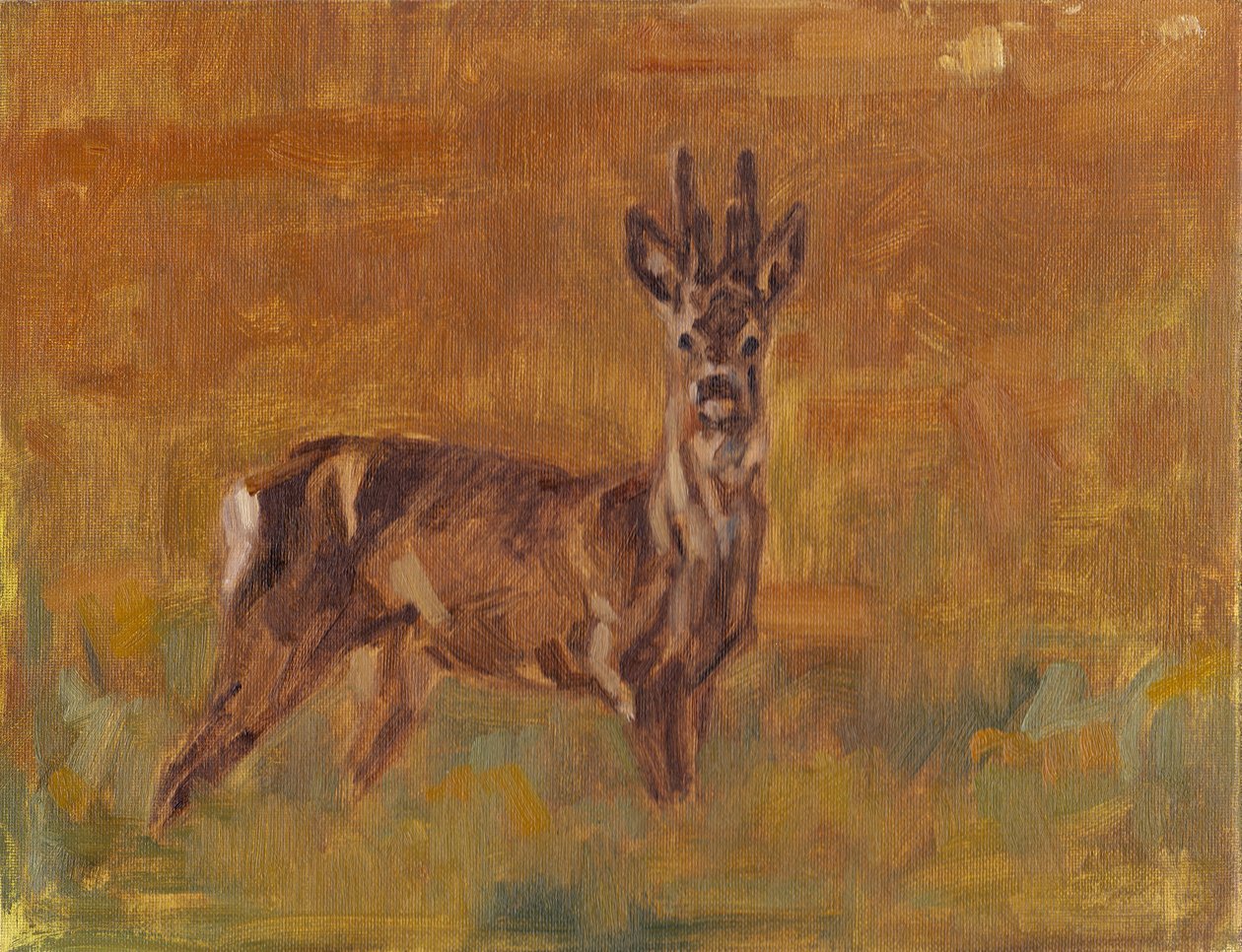 Roe Buck, 2021 de David Mayer