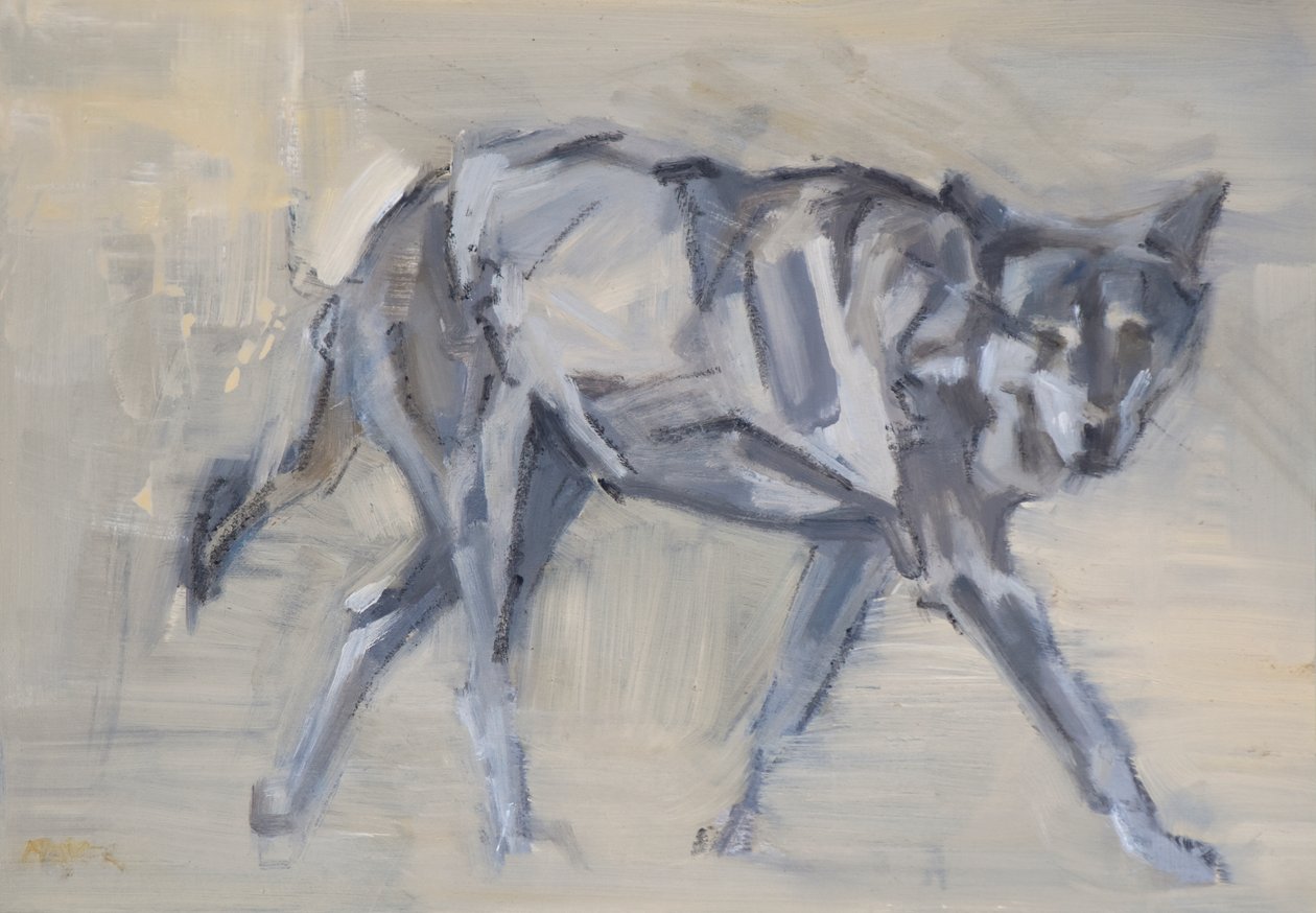 Wolf 11, 2023 (óleo sobre panel) de David Mayer