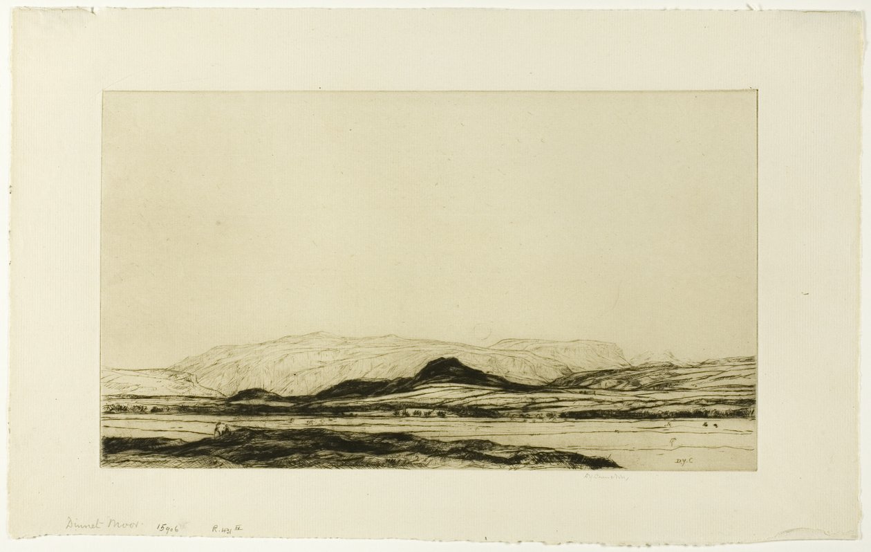 Dinnet Moor de David Young Cameron