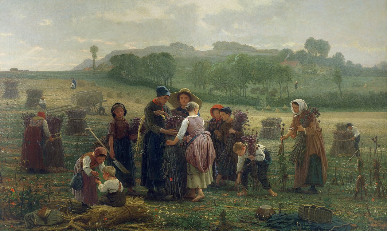 Cosecha de amapolas en Picardía, 1860 de Desire Francois Laugee