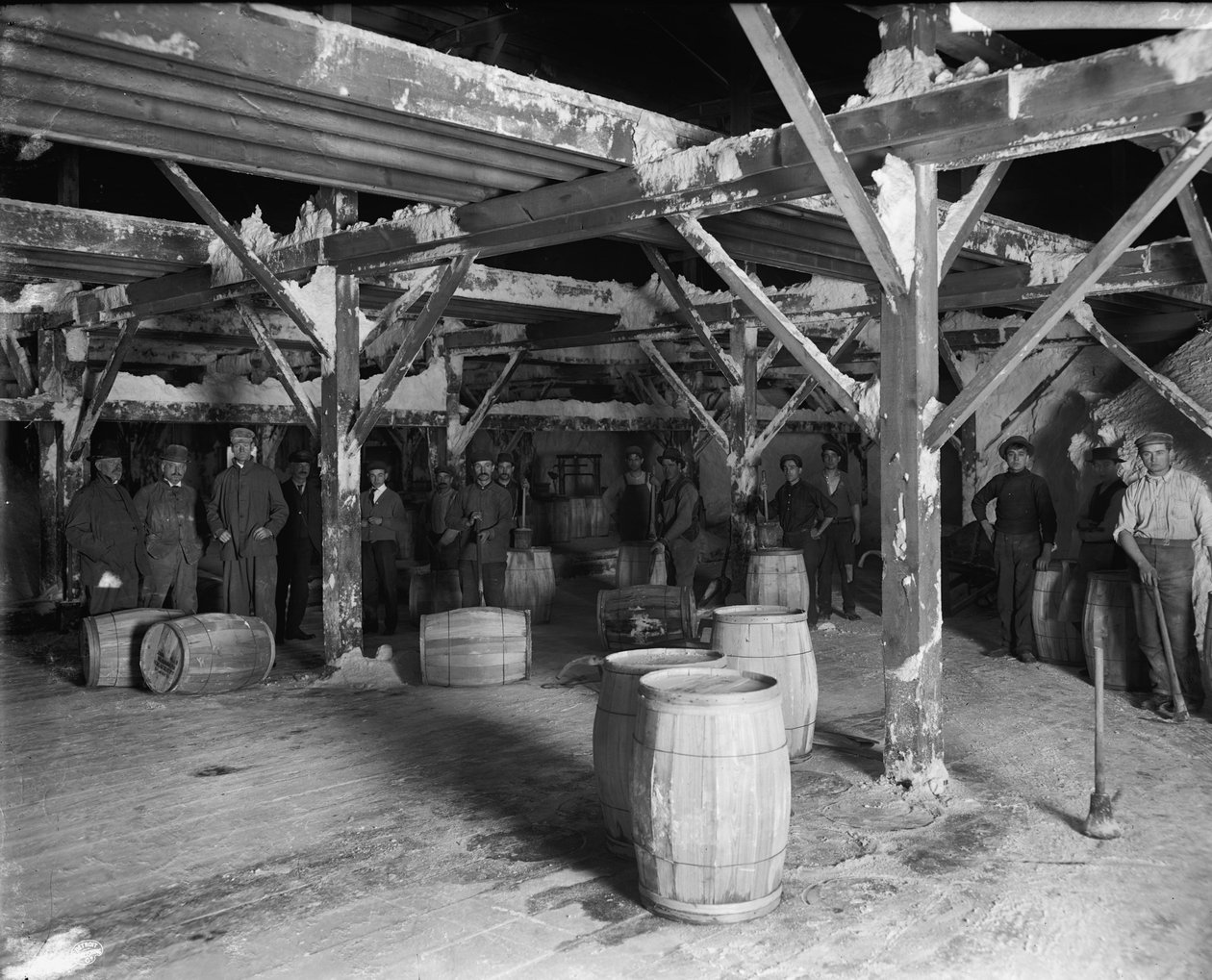 Del Ray Salt Co., c.1900-20 de Detroit Publishing Co.