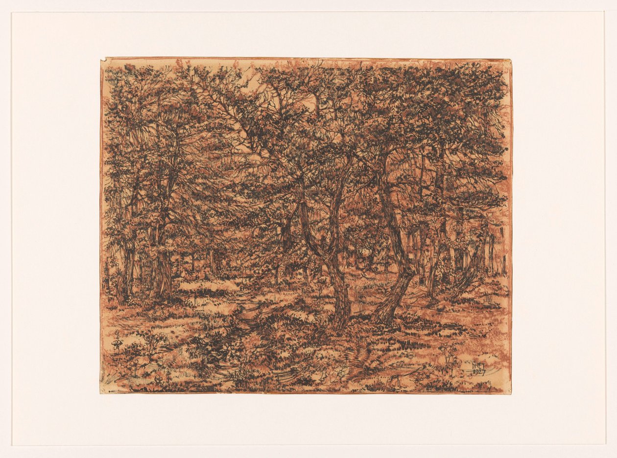 Paisaje forestal de Dick Ket (signed by artist)
