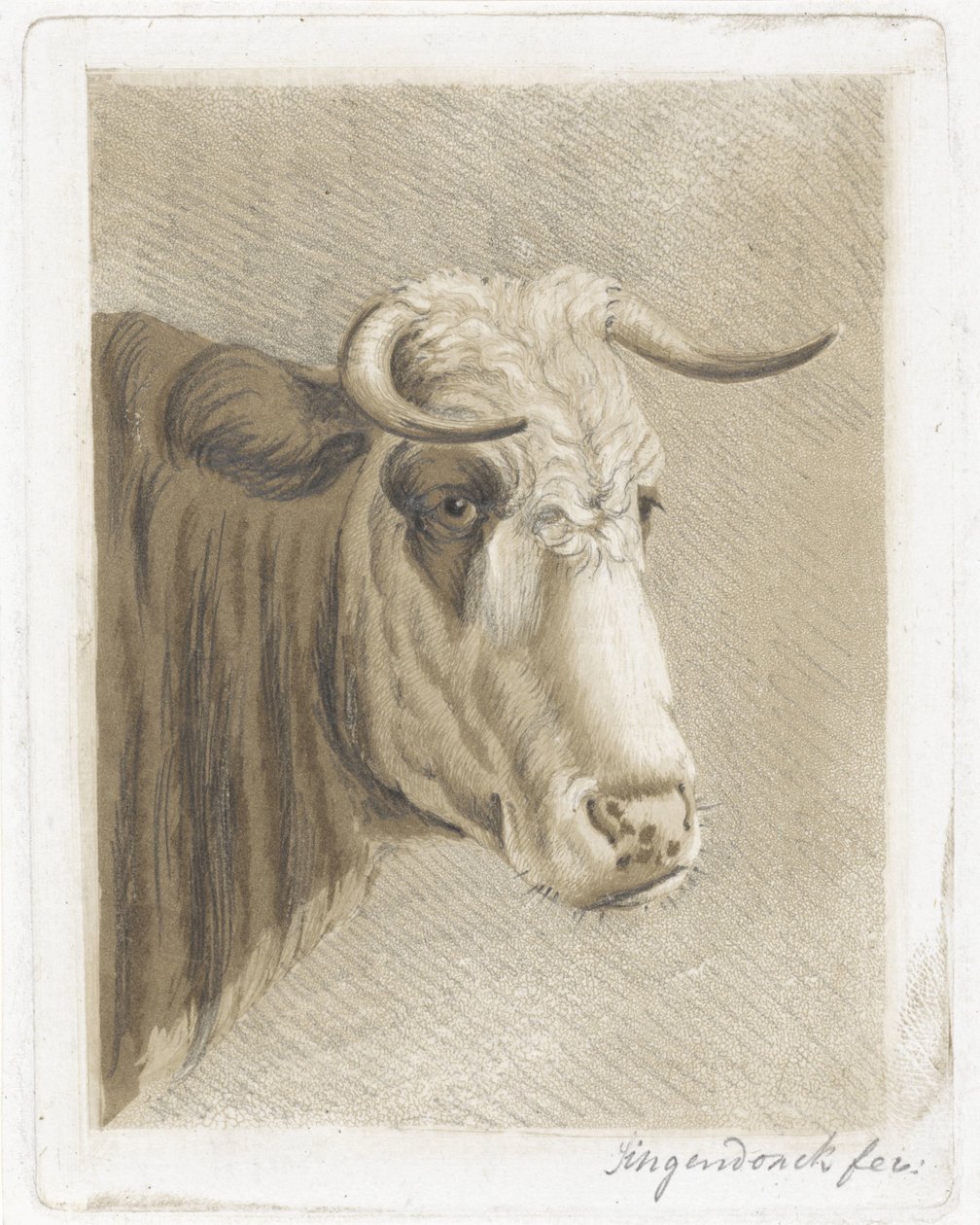 taza de galletas de Diederik Jan Singendonck (signed by artist)