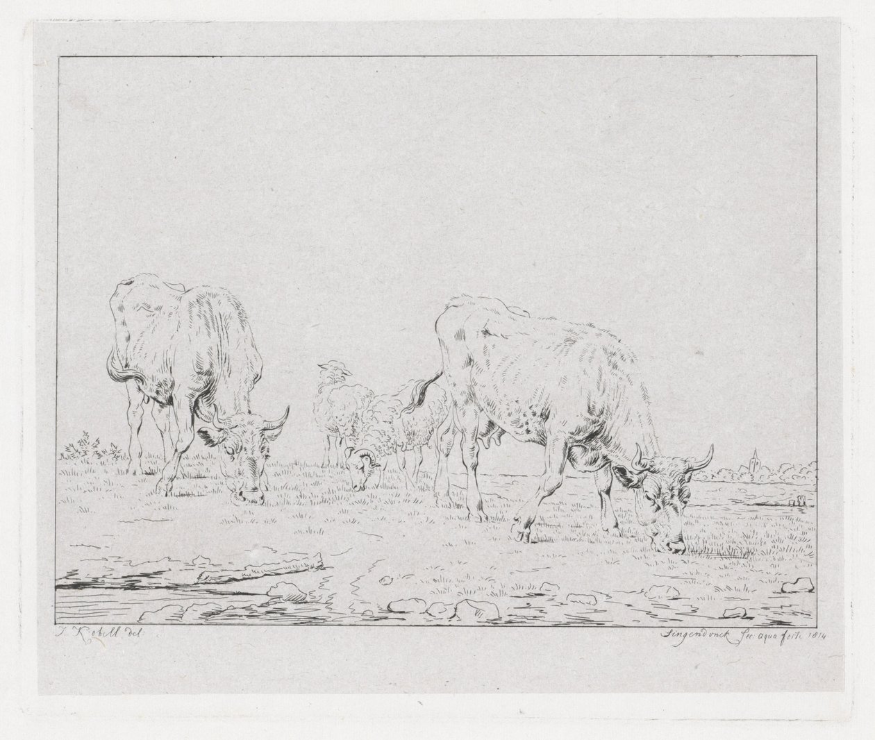 vacas pastando de Diederik Jan Singendonck