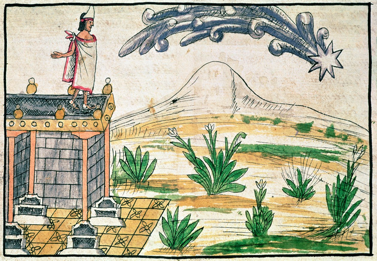 Montezuma II (1466-1520) observando un cometa, 1579 de Diego Duran