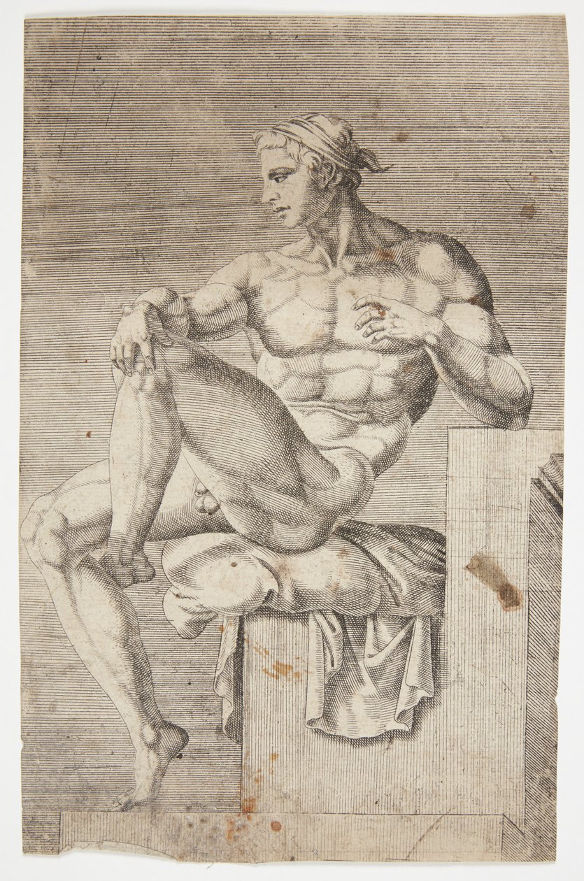 Desnudo de la Capilla Sixtina de Dirck Volckertsz. Coornhert