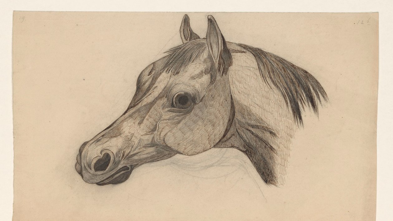 Cabeza de caballo, a la izquierda de Dirk Arnoldus Tavenraat