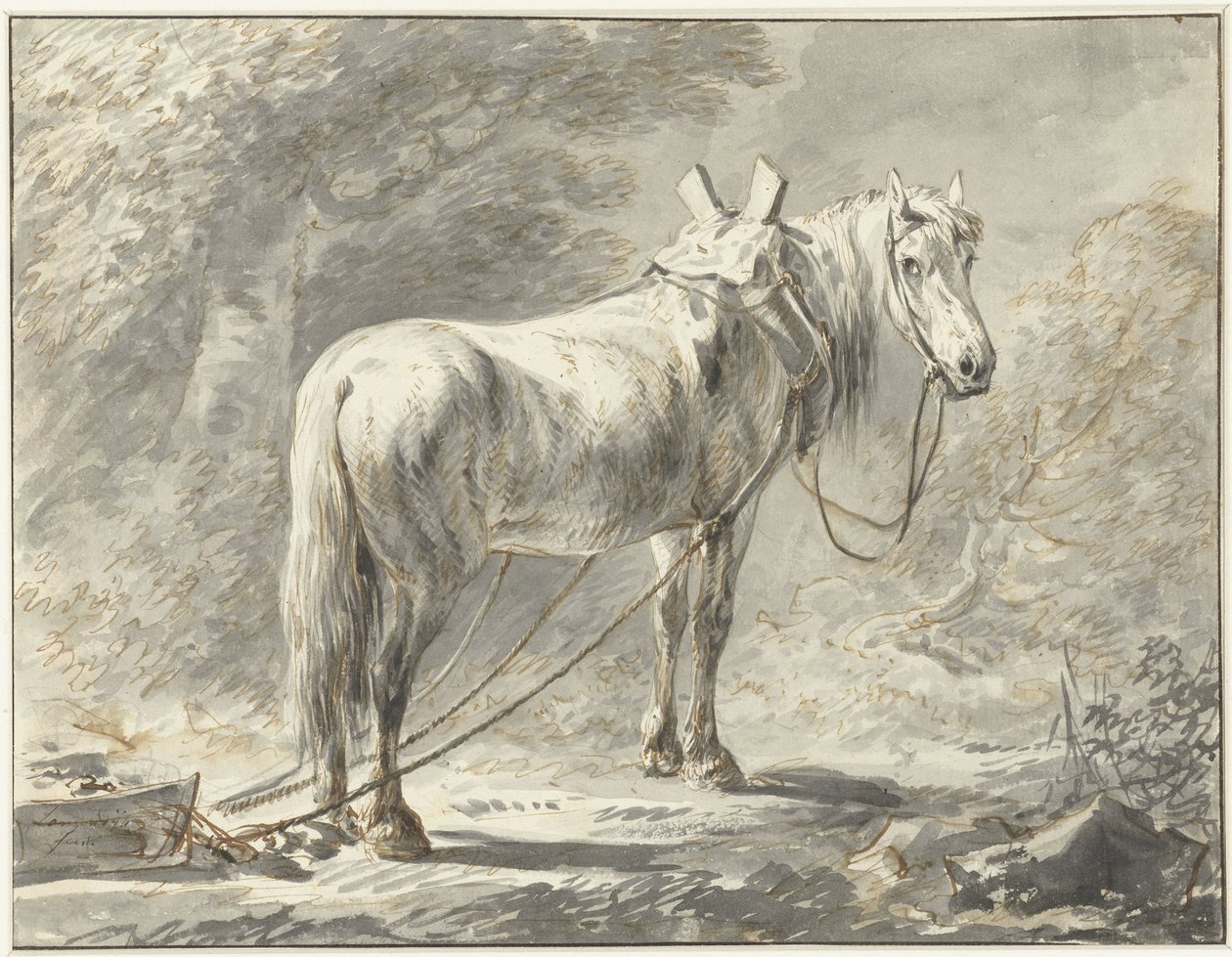 Caballo delante de un trineo, a la derecha de Dirk Langendijk