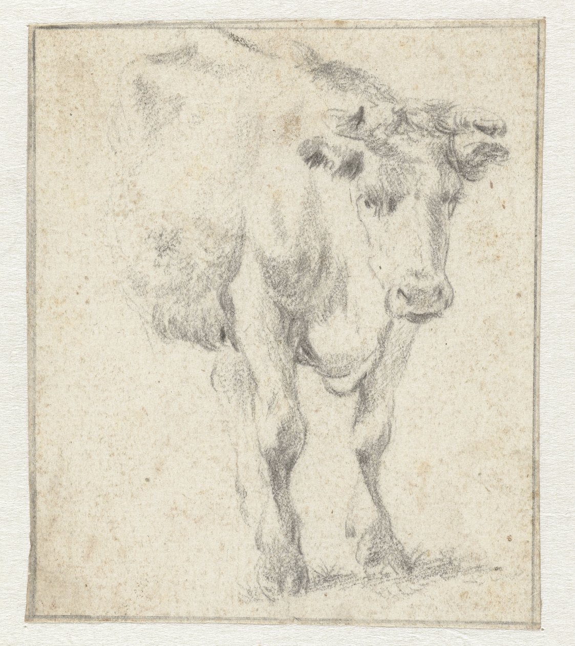 Estudio de una vaca de Dirk Stoop