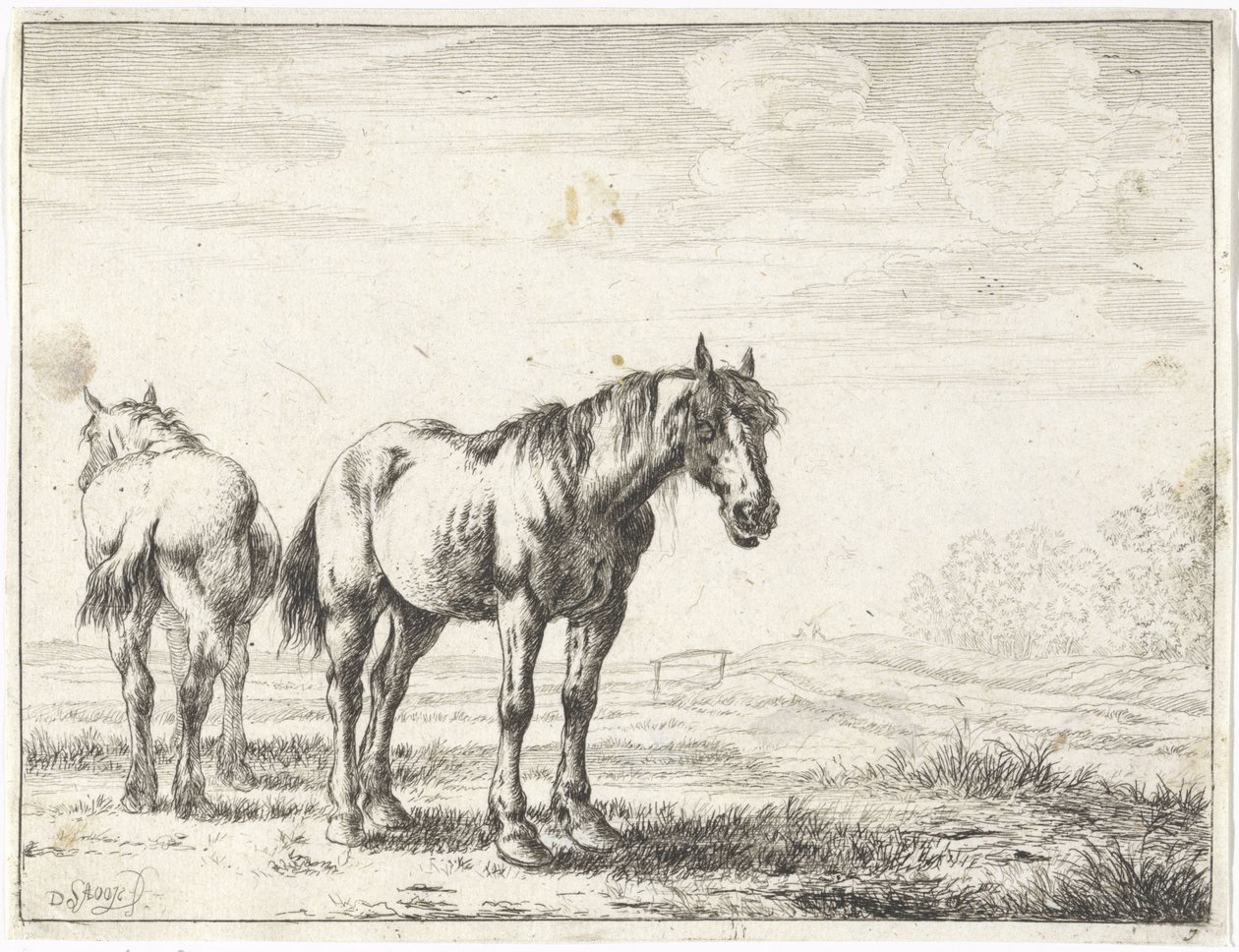 Dos caballos en un paisaje Caballos (título de la serie) de Dirk Stoop