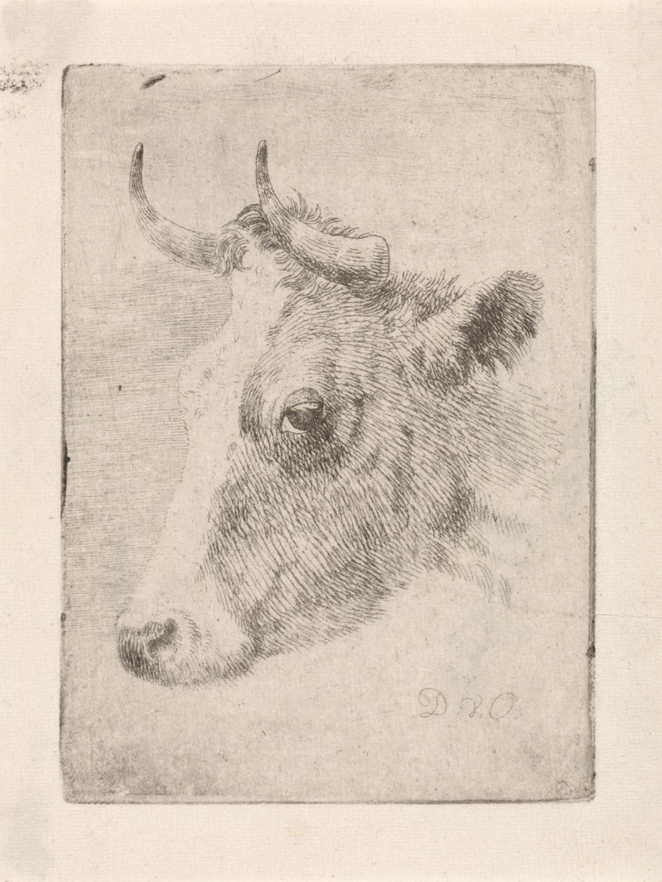 cabeza de toro de Dirk van Oosterhoudt