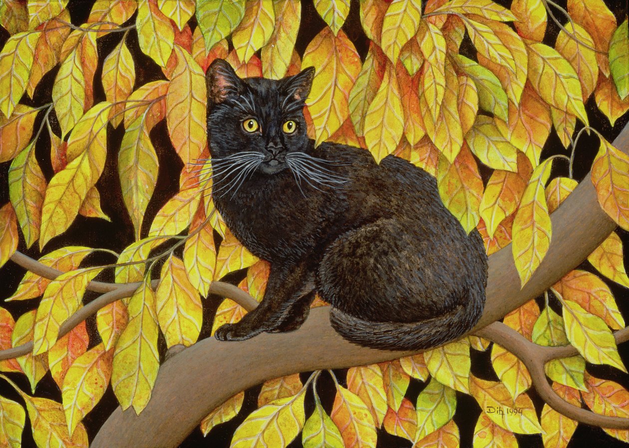 Hojas de otoño, 1994 de Ditz