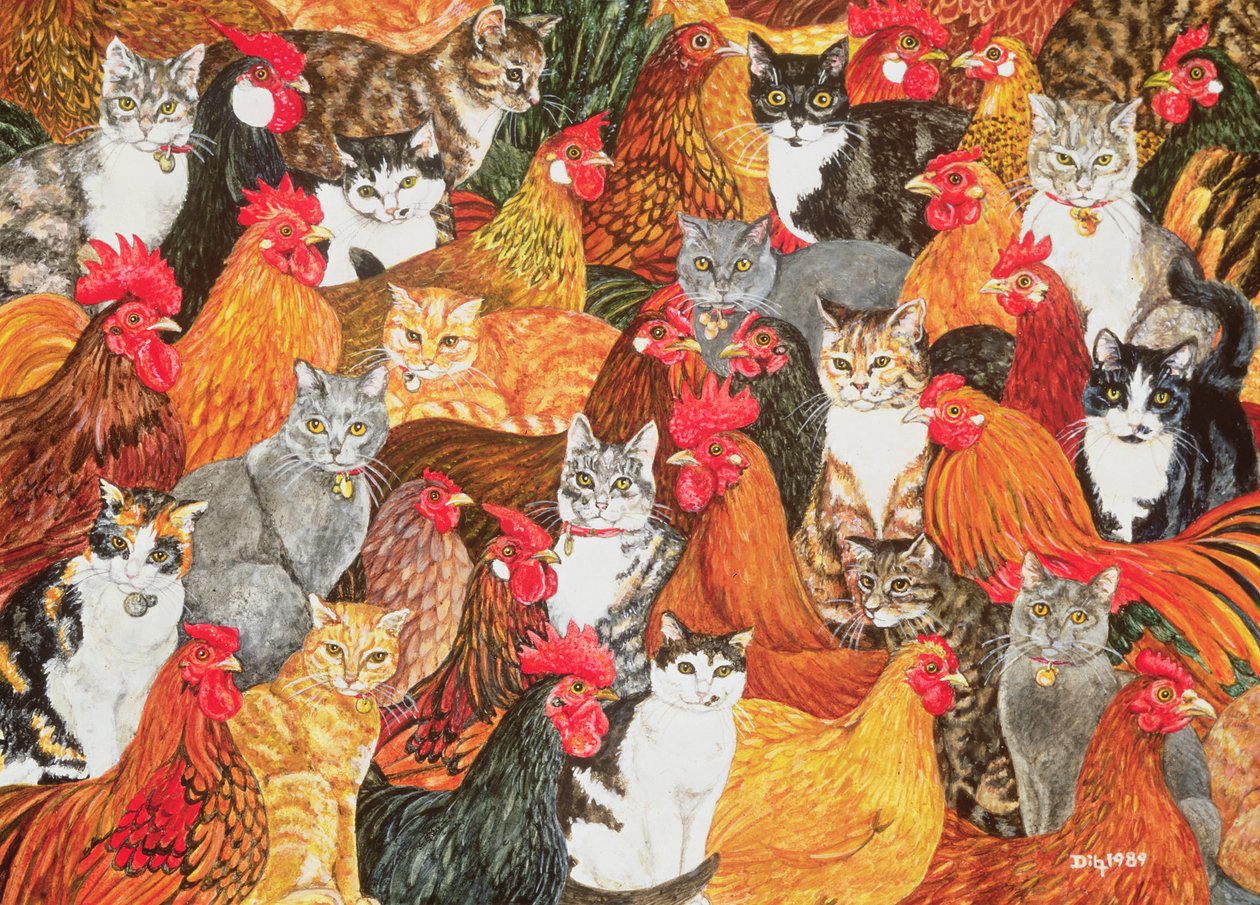 Pollo-Gatos de Ditz