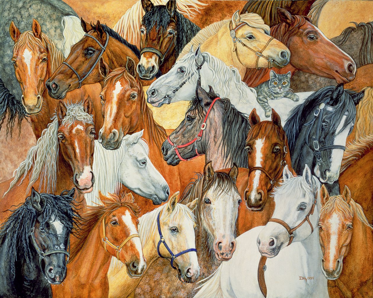 Manta para caballo de Dee de Ditz