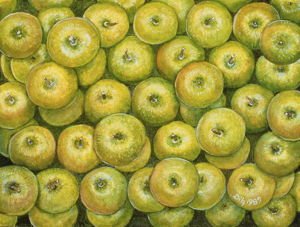 Extensión de manzana verde de Ditz