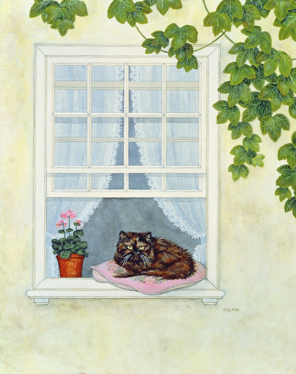 El Gato de Pam de Ditz