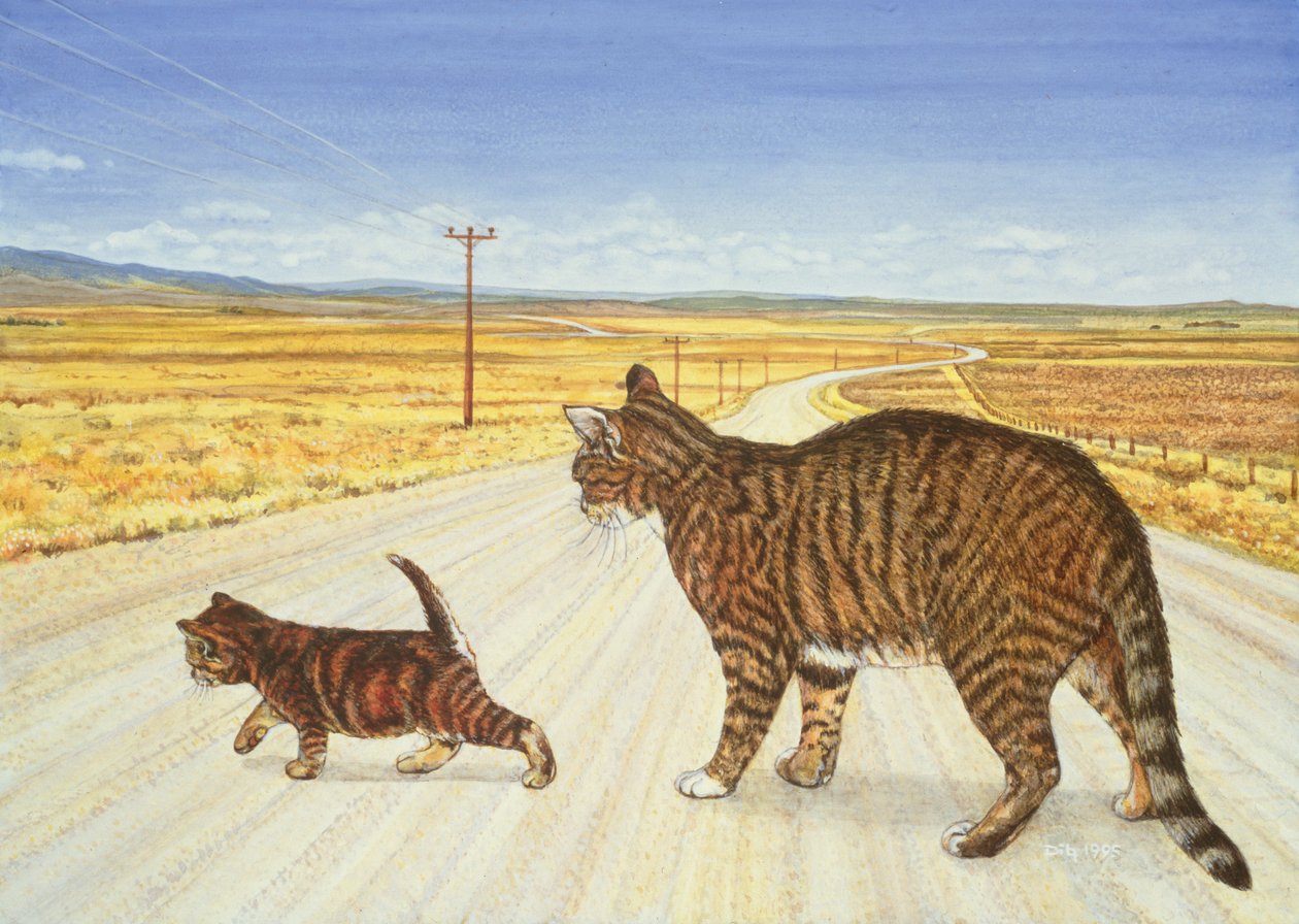 Cruce de Saratoga, 1995 de Ditz