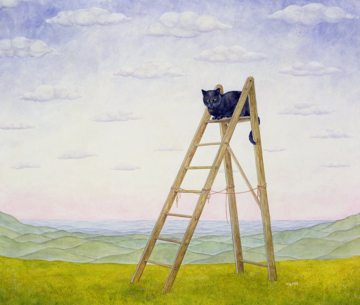 El gato de la escalera de Ditz