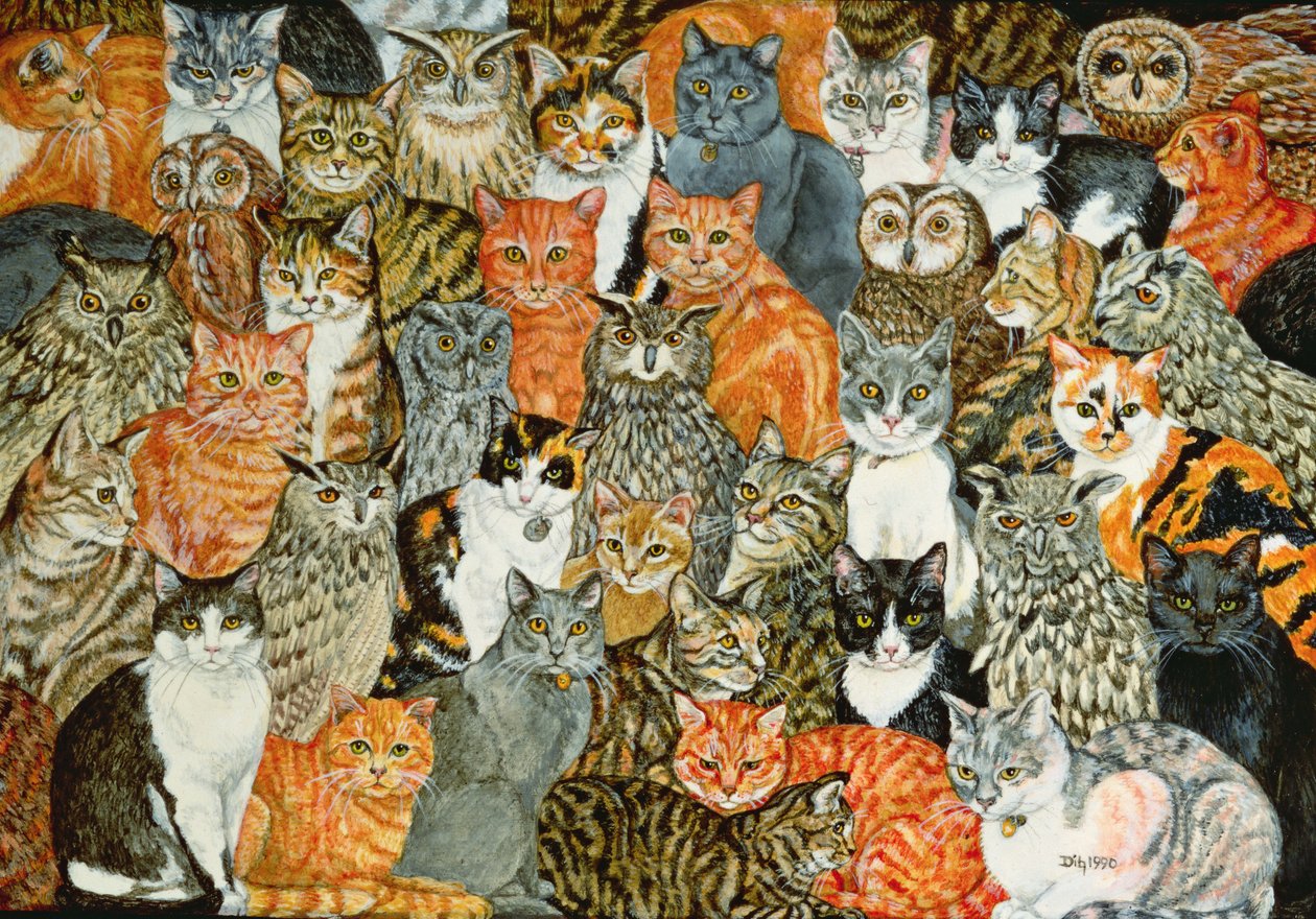 Los Búhos y los Gatos de Ditz