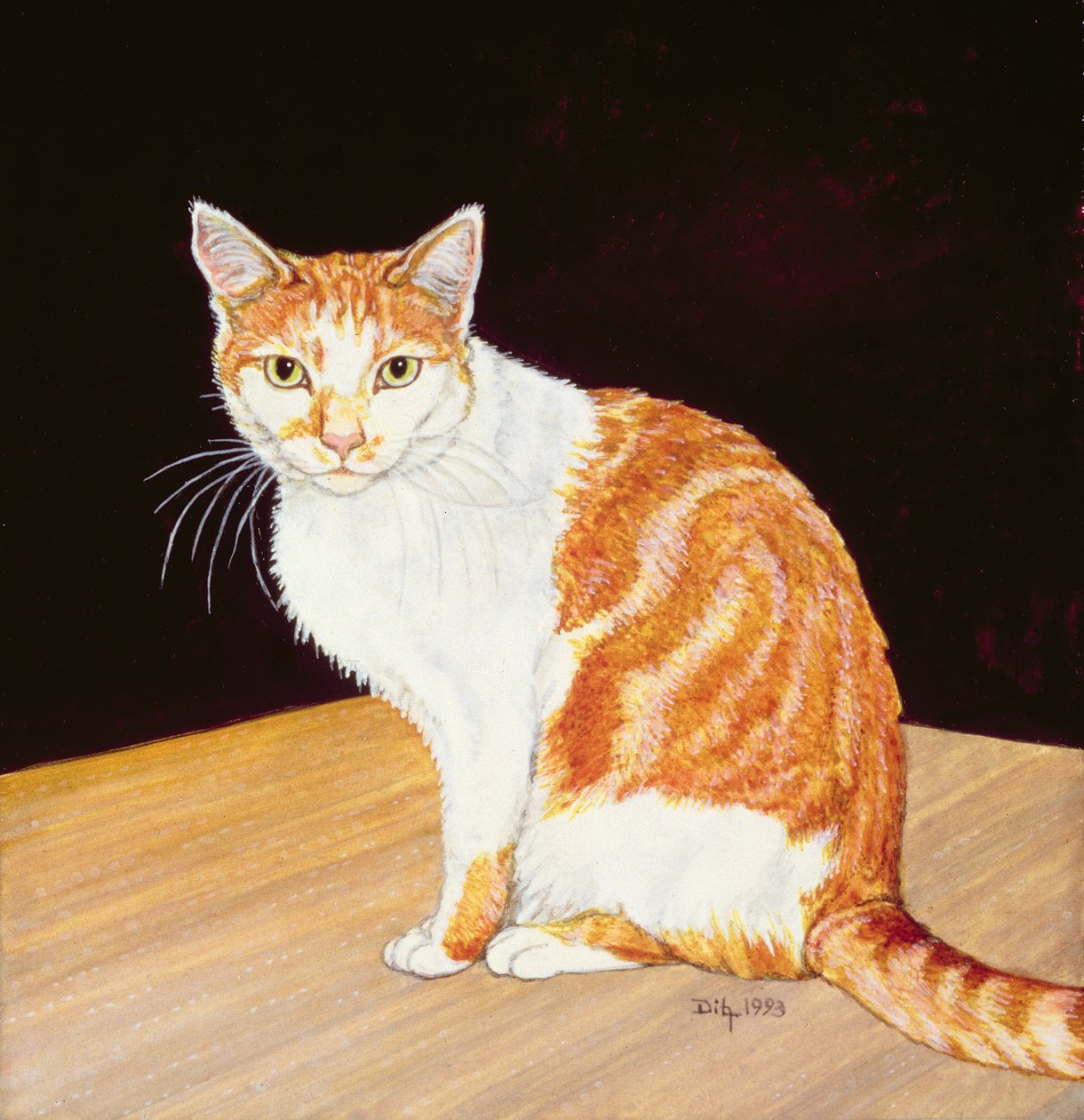 Tomás de Ditz