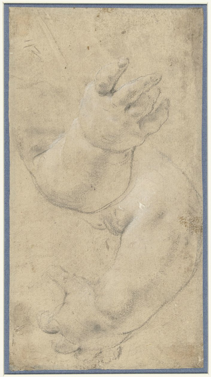 Estudio de los brazos de dos niños de Domenichino