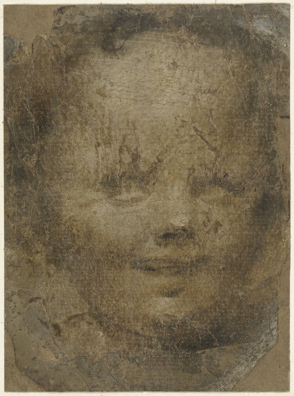 Cabeza de niño de Domenico Beccafumi