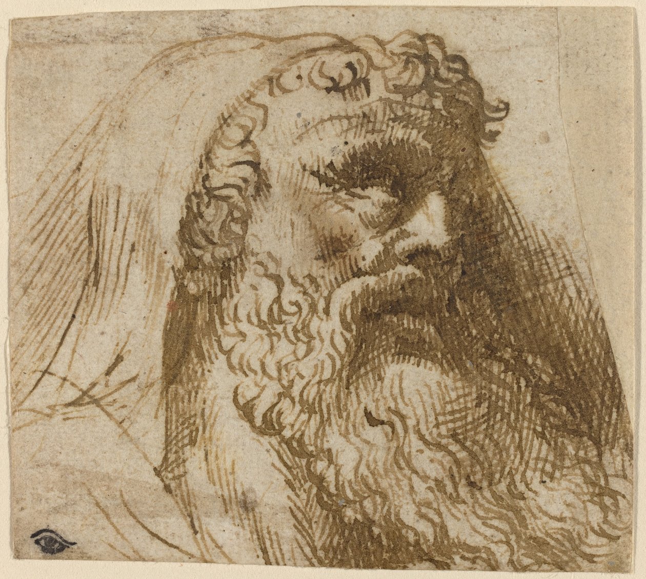 Cabeza de un Hombre de Domenico Campagnola
