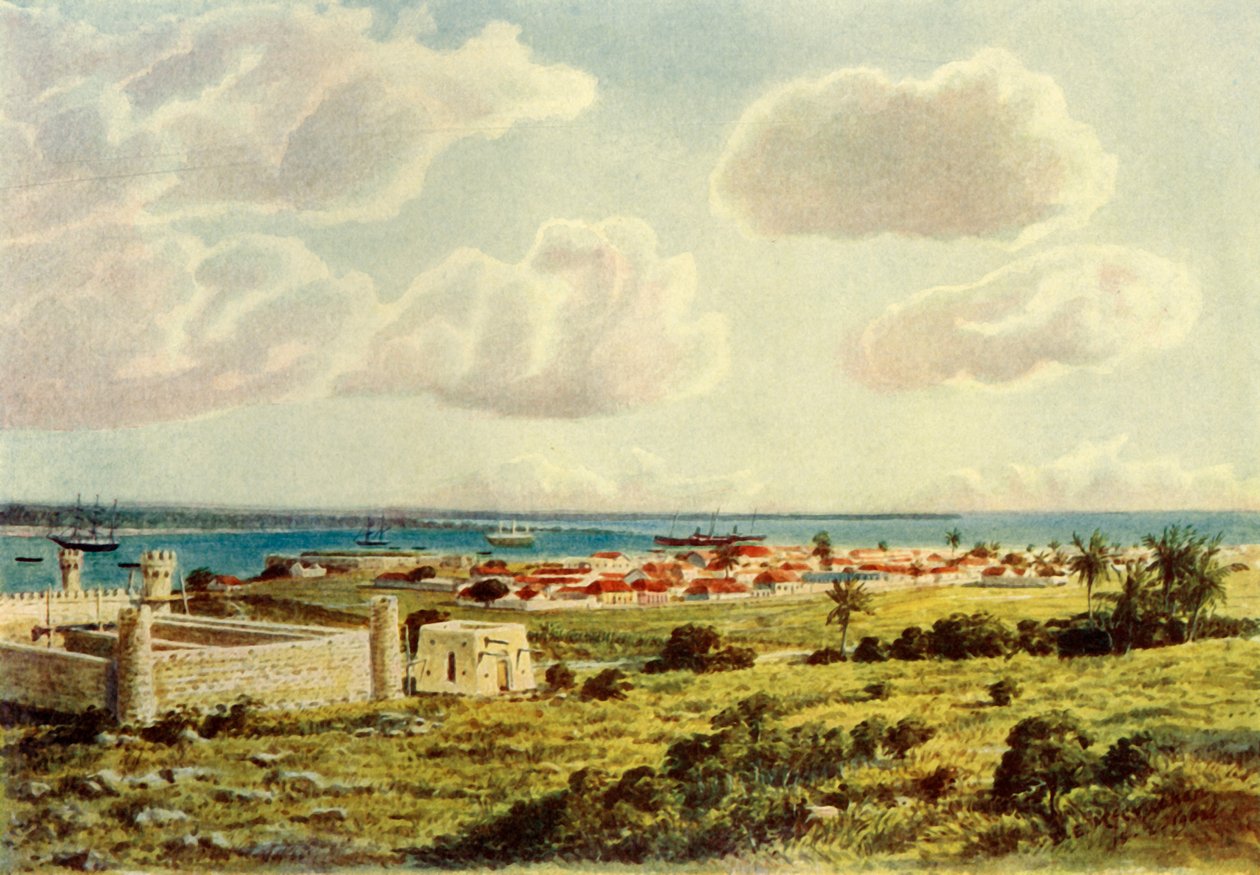 Bahía de Delagoa de Donald McCracken