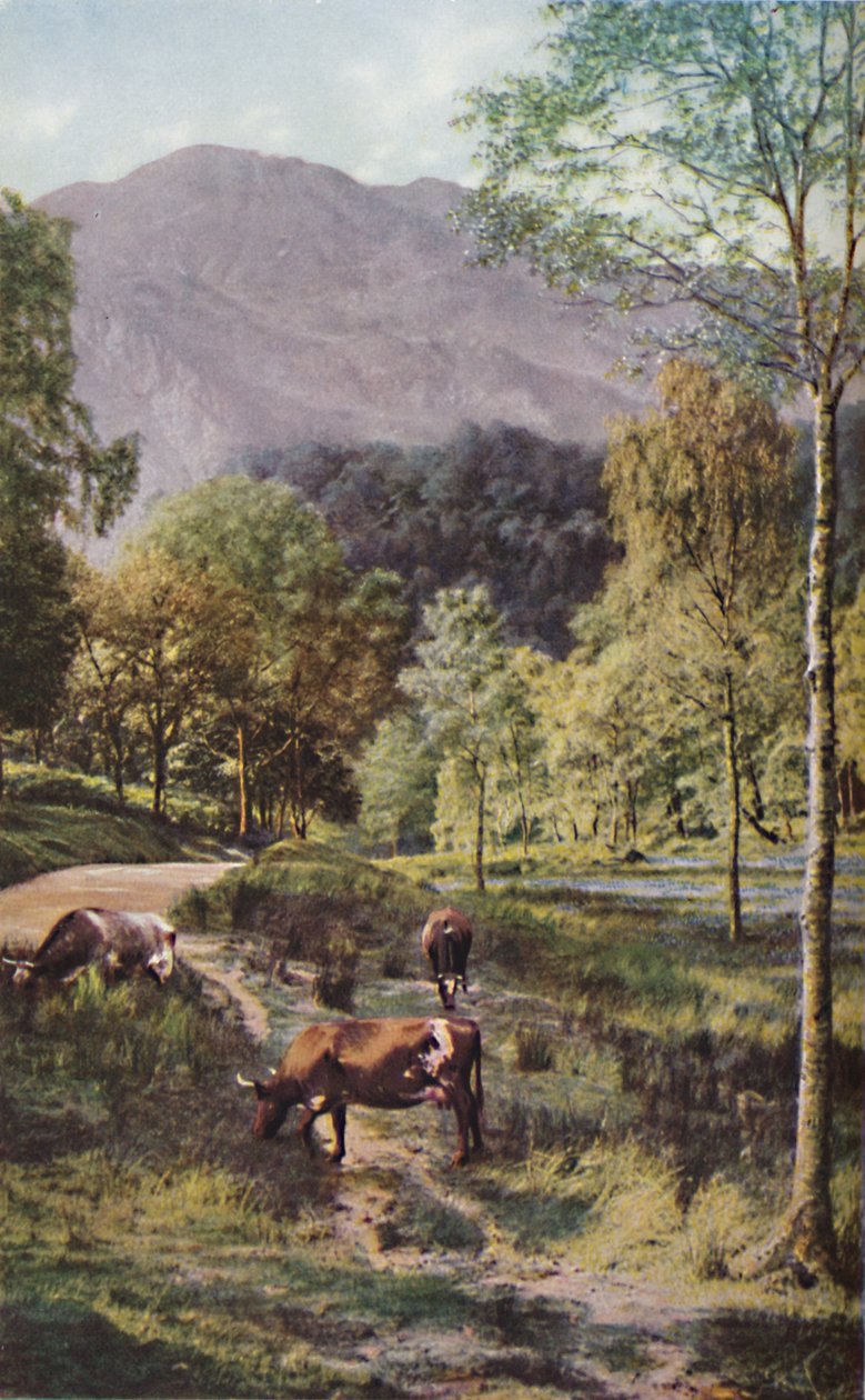 Escocia, c1930s de Donald McLeish