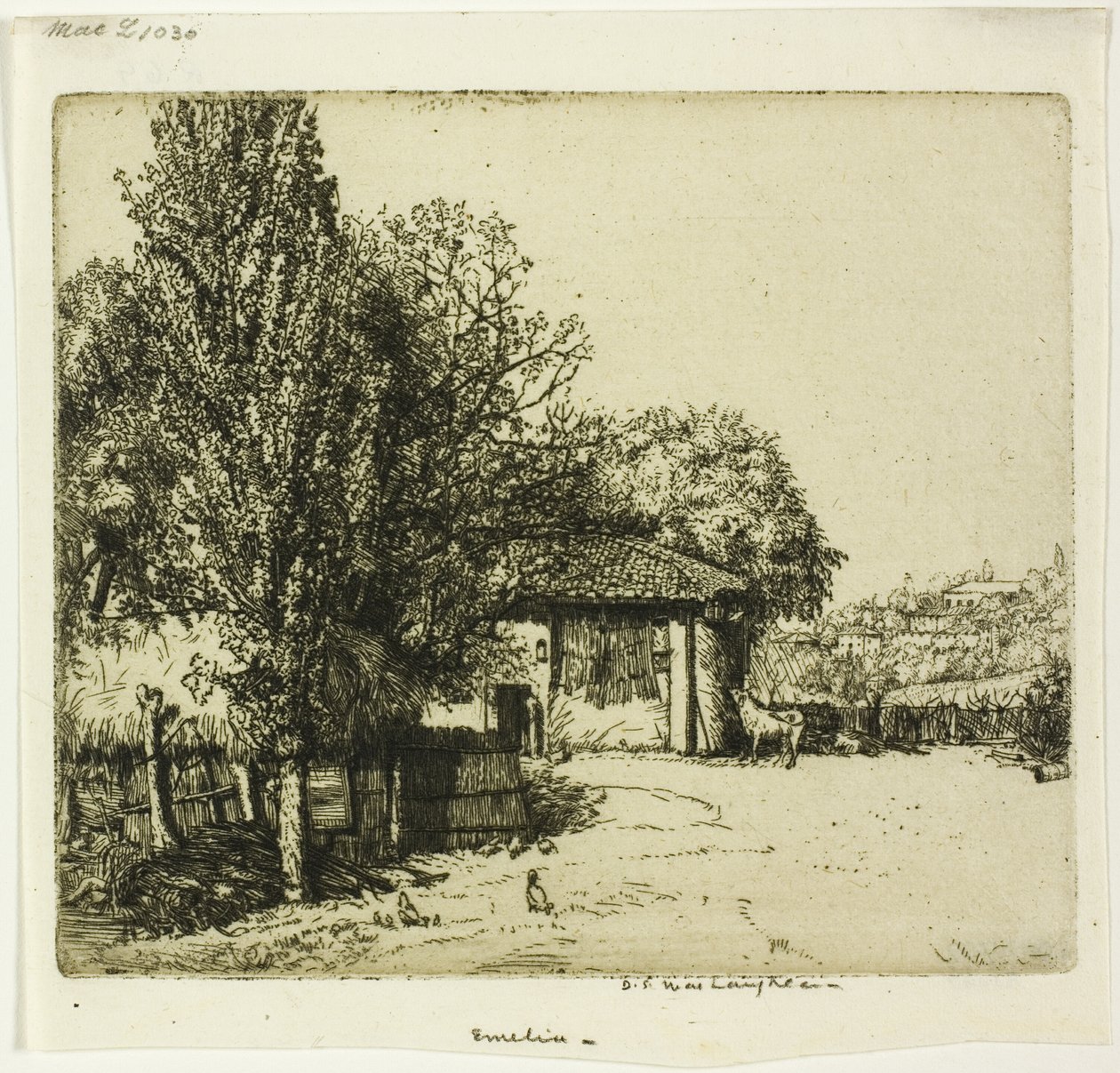 Emelia, Italia de Donald Shaw MacLaughlan