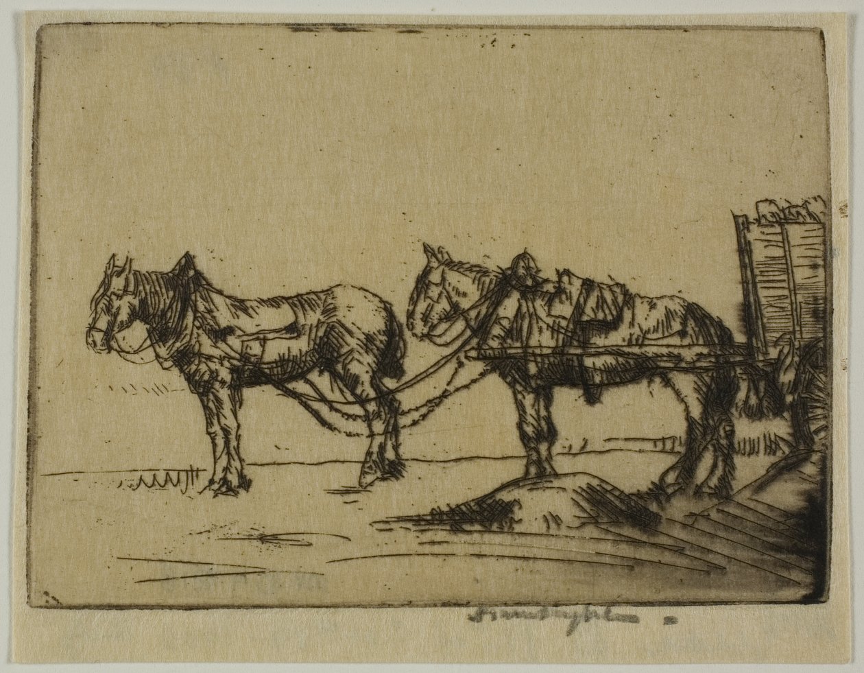 Dos caballos de Donald Shaw MacLaughlan