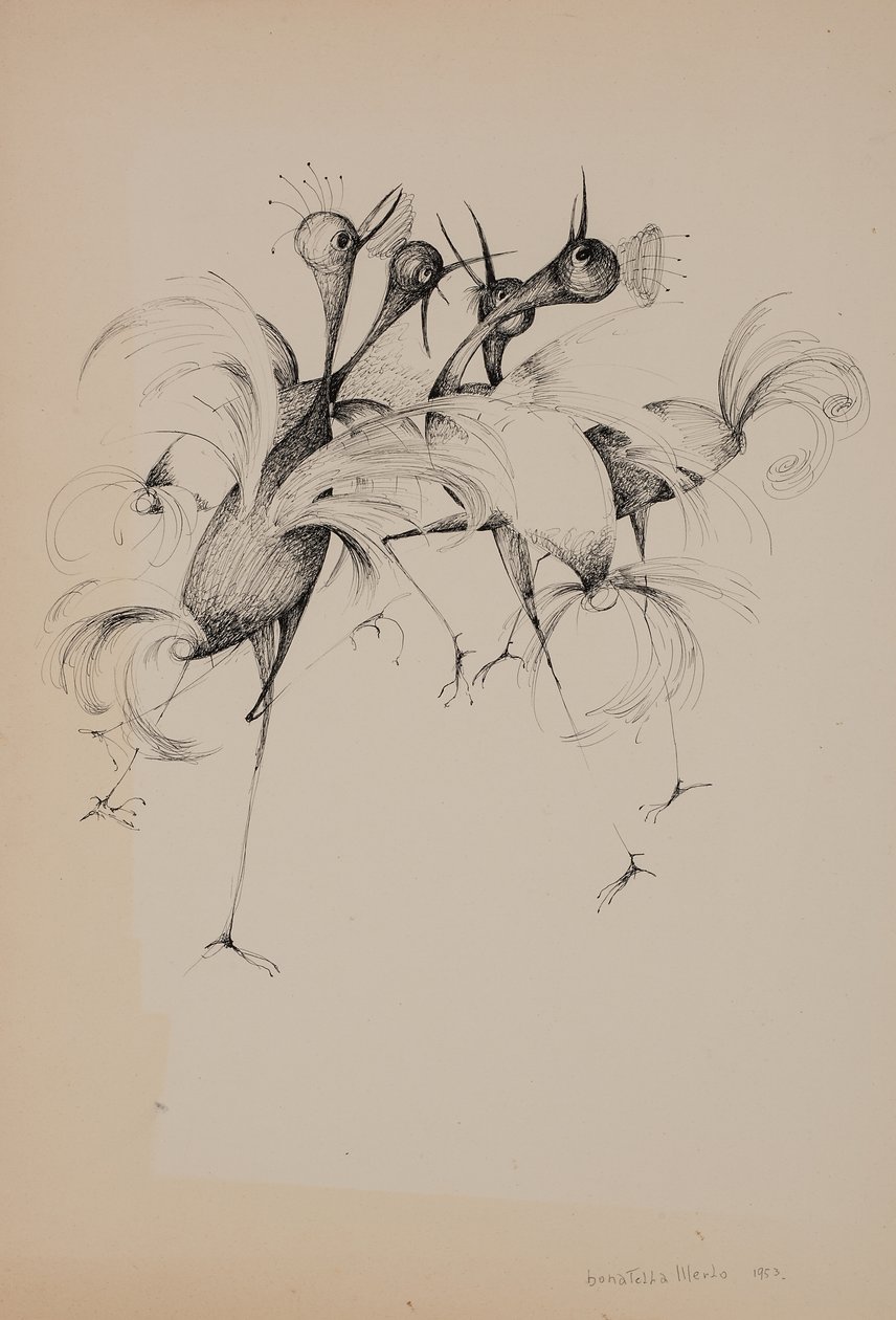Pájaros de Donatella Merlo