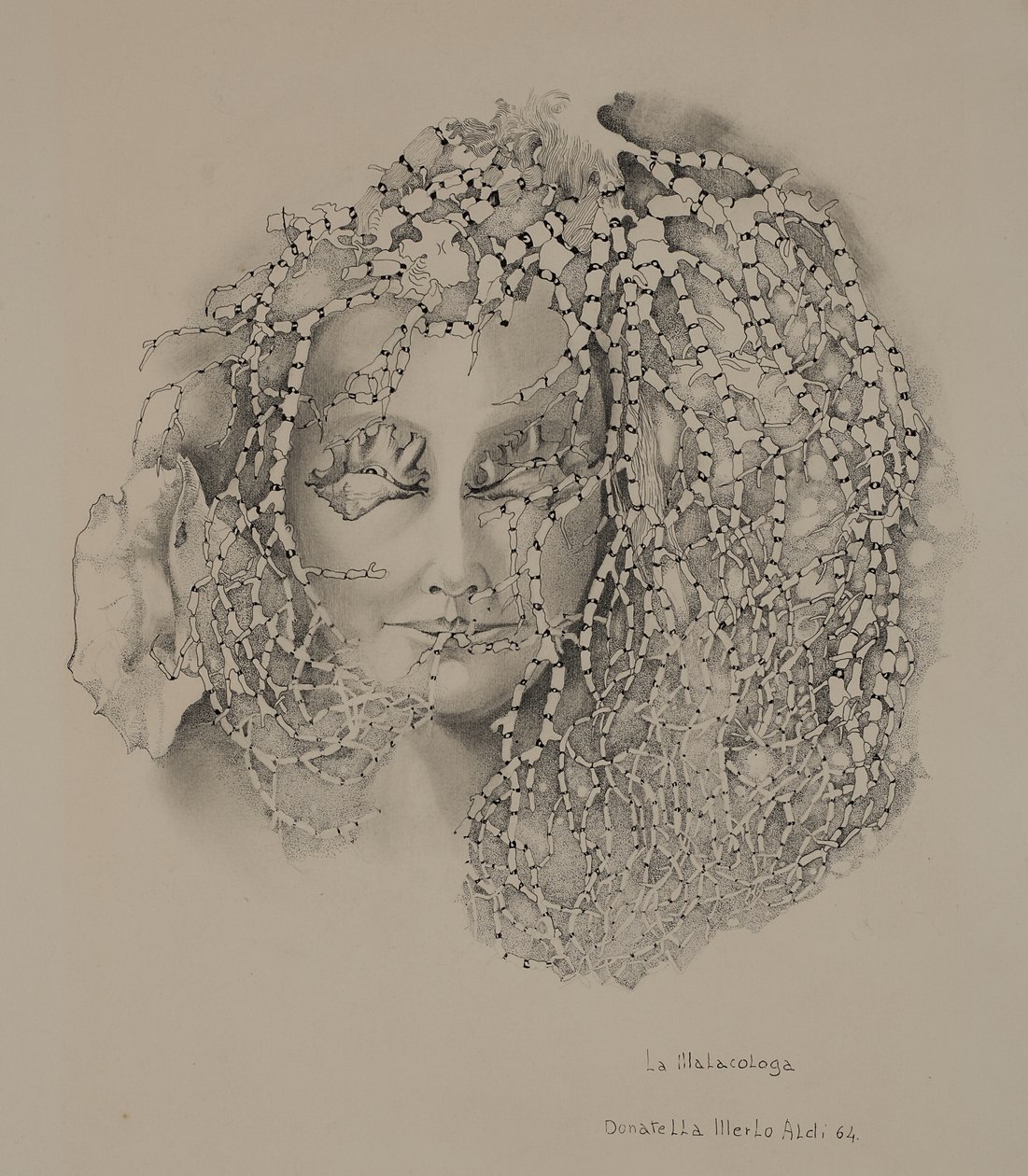 La malacología de Donatella Merlo