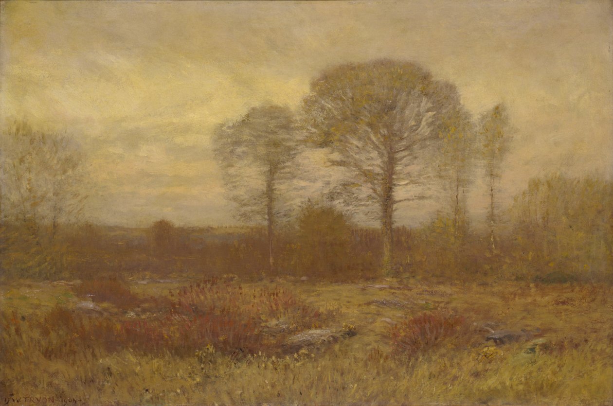 Noviembre, 1904-1905 de Dwight William Tryon