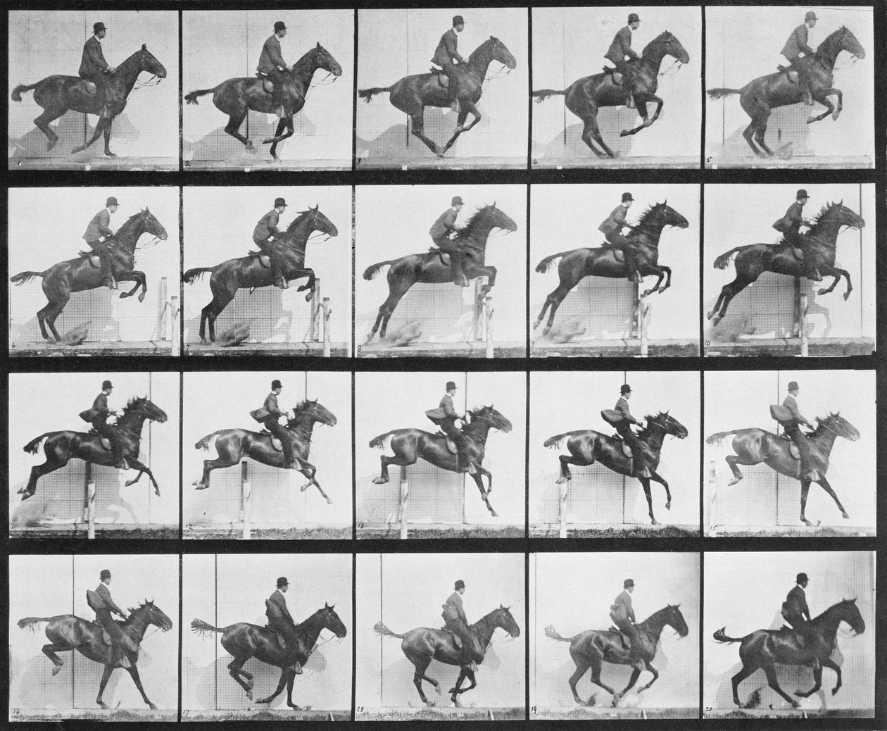 Hombre y caballo saltando una valla, lámina 640 de 
