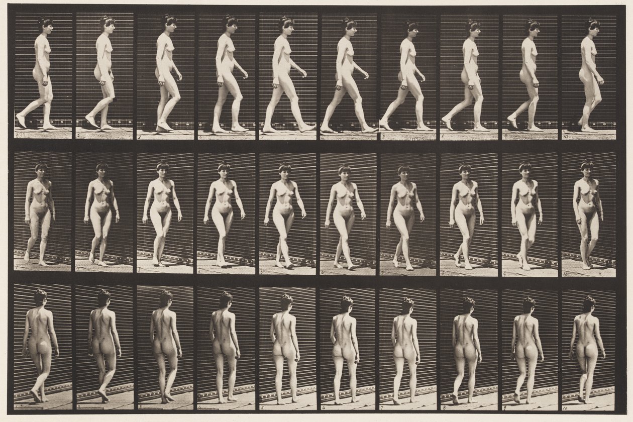 Placa 16. Caminando, 1872-1885 de Eadweard Muybridge
