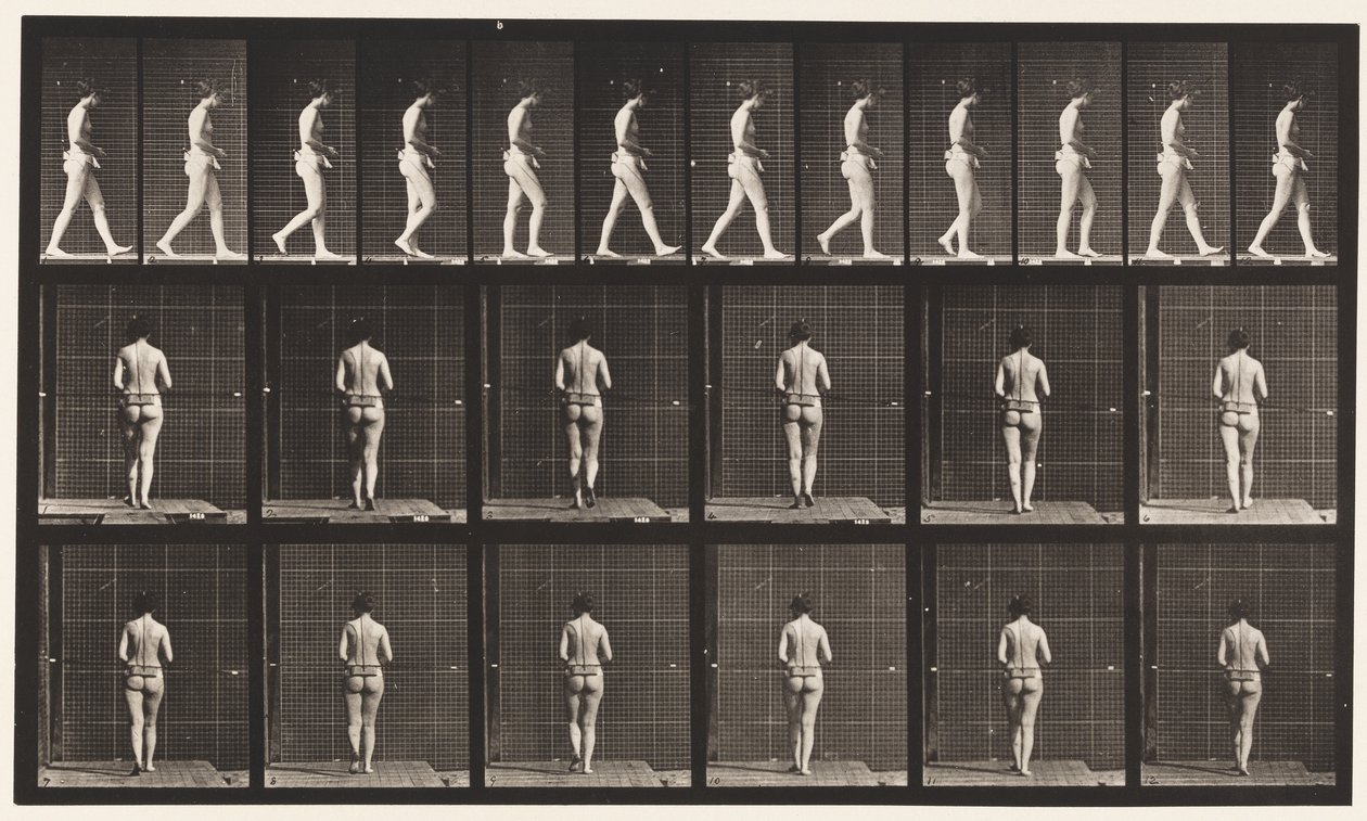 Placa 21. Caminando, ambos codos doblados de Eadweard Muybridge